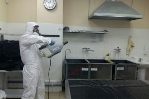 Сопутствующий ущерб