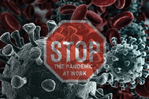 Демократия человека труда