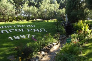 Меры поддержки санаторно-курортного комплекса разработают в Госдуме