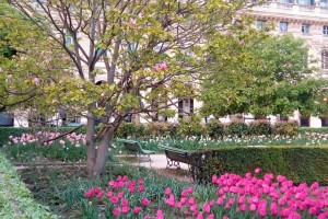 Открыть парки и скверы требует профсоюз французских медиков