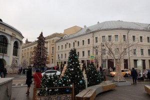 Сенатор предложил сократить новогодние каникулы из-за пандемии