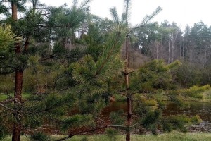 Законопроект об экологическом туризме внесен в Госдуму