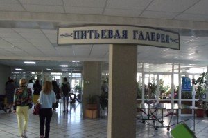 Депутат предложила меры по восстановлению санаторно-курортной сферы
