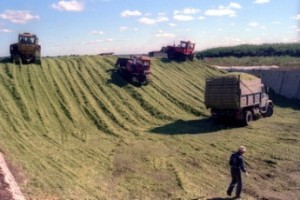 Переехавшим в город селянам хотят сохранить пенсионные надбавки