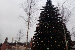 Президент рекомендовал сделать 31 декабря выходным во всех регионах