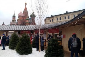 Новогодние каникулы не сократят из-за выходного 31 декабря
