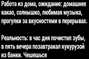 Работа из дома: ожидание vs реальность
