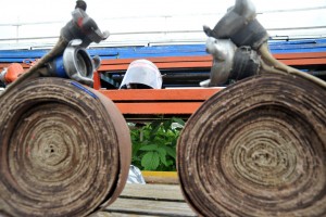 Огнеборцы всех подразделений - соединяйтесь!