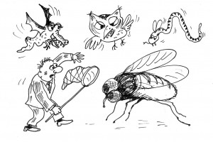 Благородное дело