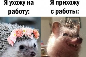 Я ухожу на работу