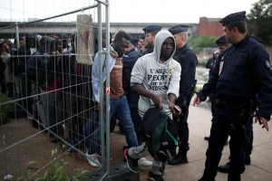 Мсье Ибрагим и цветы Нормандии