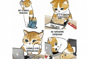 Вот и новая неделька...