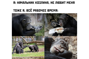 Все рабочее время...