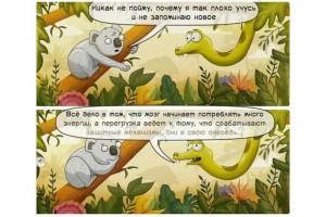 Почему я так плохо учусь