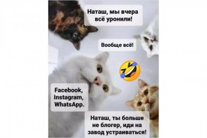 Ты больше не блогер, Наташ!