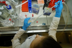 Берсерки науки