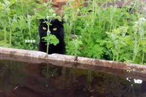 Я пытаюсь спрятаться от проблем