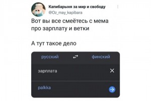 Правда о меме про зарплату и ветку