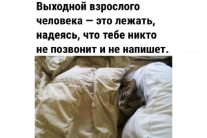 Выходной взрослого человека