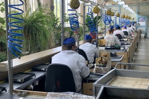 Правительство выделило более 4 млрд рублей на поддержку промышленности