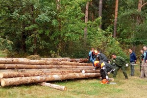 Работодатели присоединились к отраслевому соглашению по лесному хозяйству