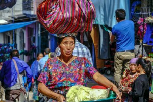 Неутешительные выводы