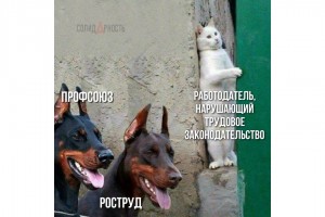 Работодатель, нарушающий трудовое законодательство