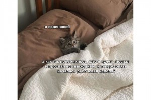 Чуть-чуть поспал