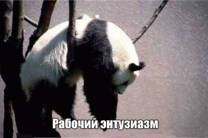 Рабочий энтузиазм