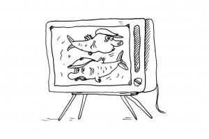 Слоны в подсудной лавке