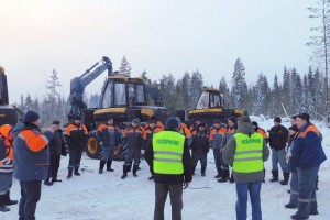 Выезды в профгруппы Службы лесозаготовки