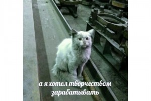 А я хотел творчеством зарабатывать...