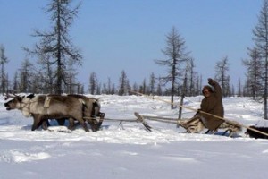 Единый принцип компенсаций - всем северянам