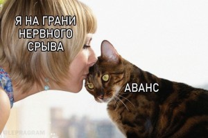 Я на грани нервного срыва