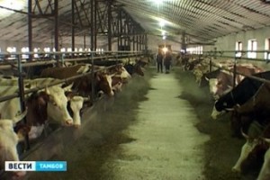 Под угрозой ковровой застройки