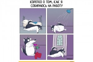 Как я собираюсь на работу