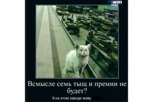 В смысле премии не будет?!