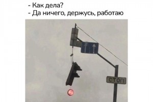 Держусь, работаю