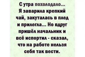 Начальник все испортил