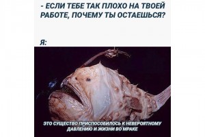 Почему ты остаешься на плохой работе