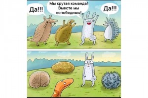 Крутая команда