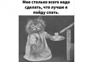 Столько всего надо сделать!..