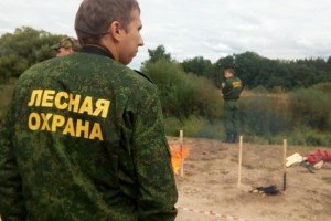 В Рослеспрофсоюзе назвали «оторванной от реальности» позицию главы Минприроды Республики Коми