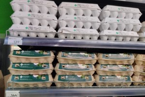 Глава Минсельхоза пообещал сбить цену на куриные яйца