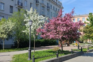 Более трети россиян испытывают профессиональный подъем весной