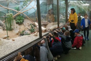 Точка обзора