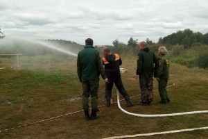 В Рослеспрофсоюзе с энтузиазмом восприняли слова президента о повышении зарплат в лесной отрасли