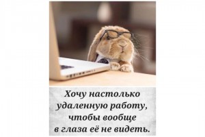 Хочу удаленную работу