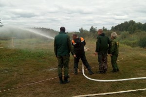 Профессия лесничего стала альтернативой военной службе