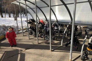 Голикова заявила о снижении числа женщин репродуктивного возраста